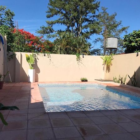 Colibri Hostel Puerto Iguazu Ngoại thất bức ảnh