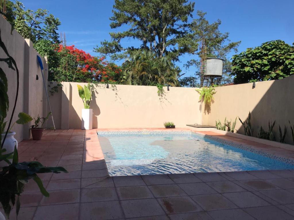 Colibri Hostel Puerto Iguazu Ngoại thất bức ảnh