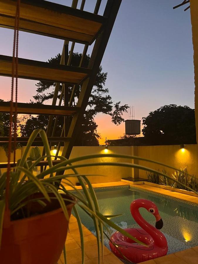 Colibri Hostel Puerto Iguazu Ngoại thất bức ảnh